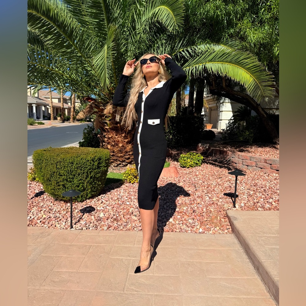227 ‘Alex’ Elegant Black and White Button-Down Dress - Picture 4 of 9